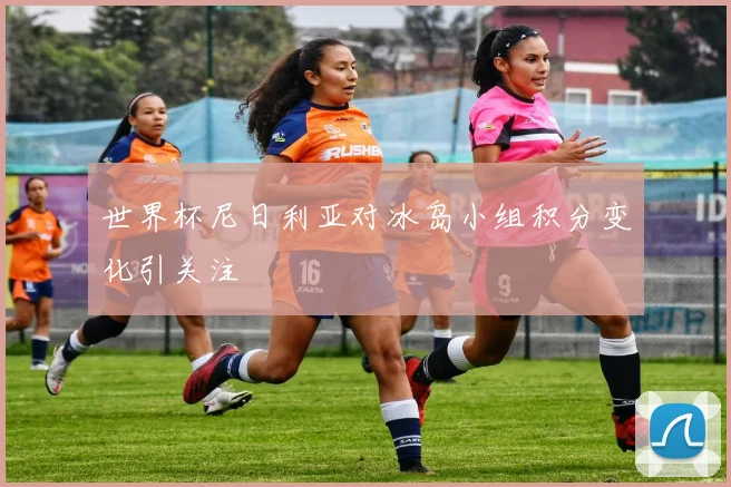 世界杯尼日利亚对冰岛小组积分变化引关注