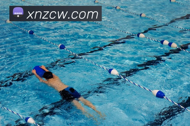 mksports官方网站平台生态图